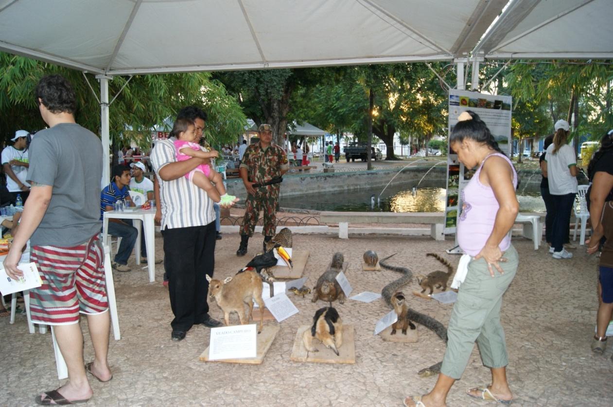 Dia_Mundial_do_Meio_Ambiente_2