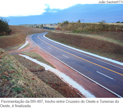 Foto pequena boiadeira finalizada