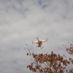 Levantamento Aerofotogramétrico com Drone